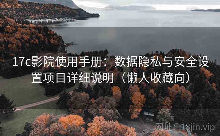 17c影院使用手册：数据隐私与安全设置项目详细说明（懒人收藏向）