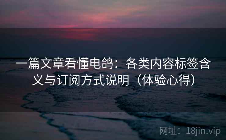 一篇文章看懂电鸽：各类内容标签含义与订阅方式说明（体验心得）