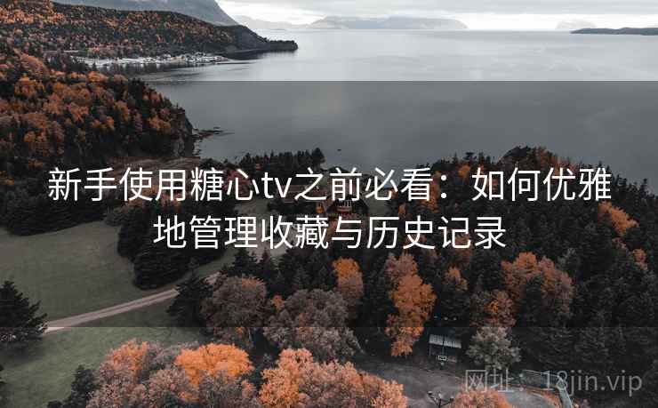 新手使用糖心tv之前必看:如何优雅地管理收藏与历史记录 新手使用糖心tv之前必看:如何优雅地管理收藏与历史记录