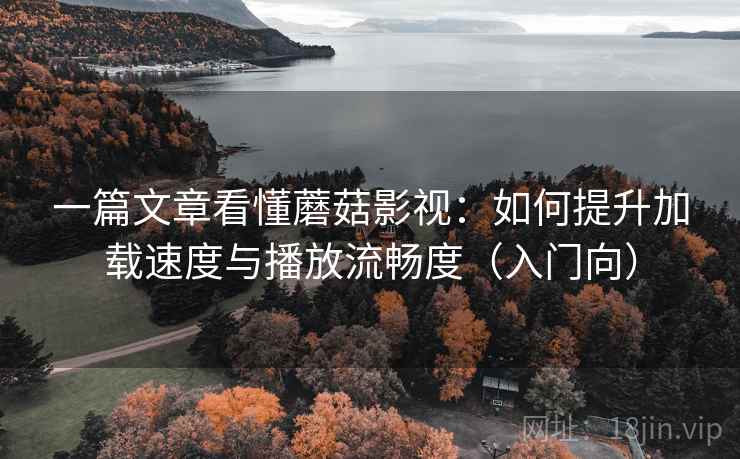 一篇文章看懂蘑菇影视：如何提升加载速度与播放流畅度（入门向）