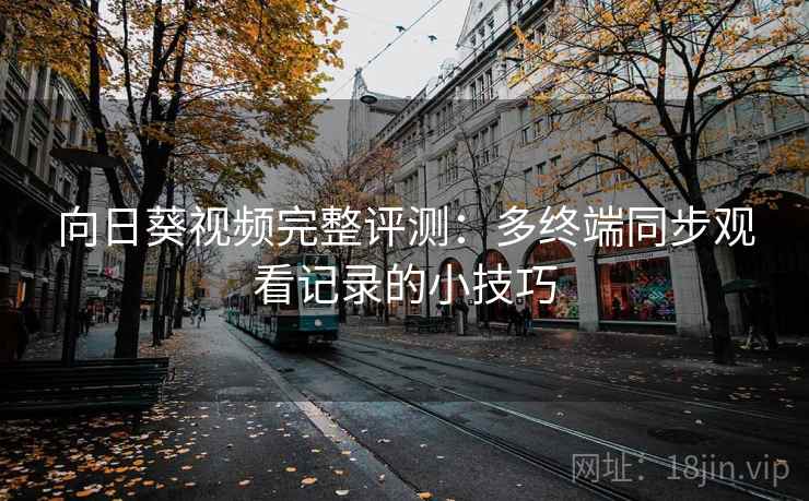 向日葵视频完整评测：多终端同步观看记录的小技巧