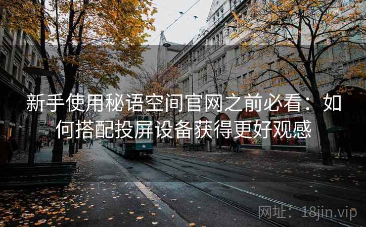 新手使用秘语空间官网之前必看：如何搭配投屏设备获得更好观感