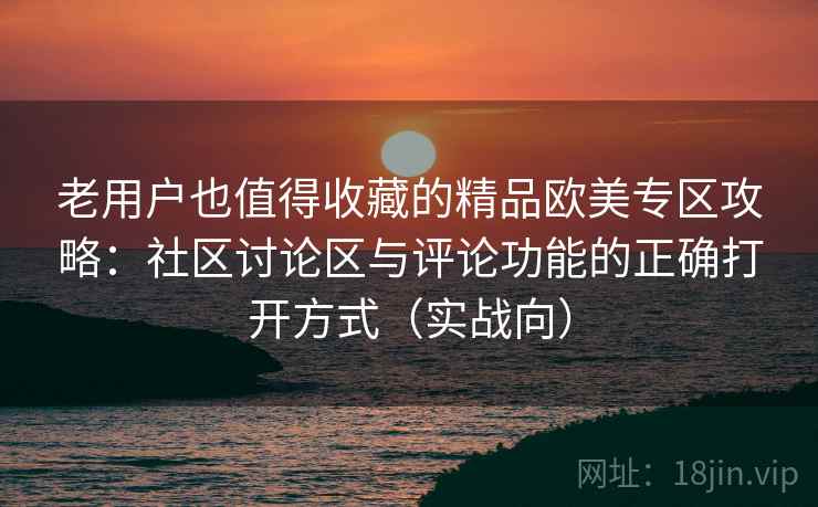 老用户也值得收藏的精品欧美专区攻略：社区讨论区与评论功能的正确打开方式（实战向）