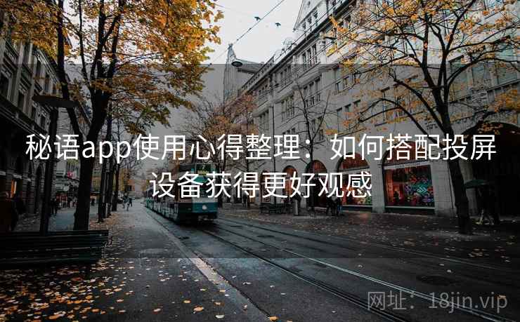 秘语app使用心得整理：如何搭配投屏设备获得更好观感