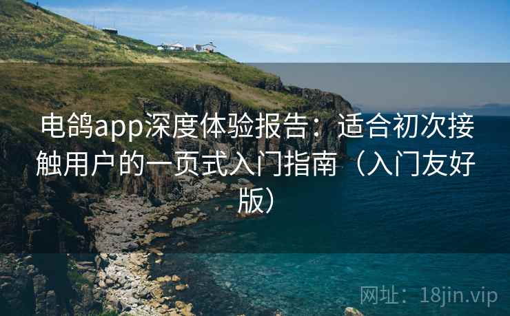 电鸽app深度体验报告：适合初次接触用户的一页式入门指南（入门友好版）