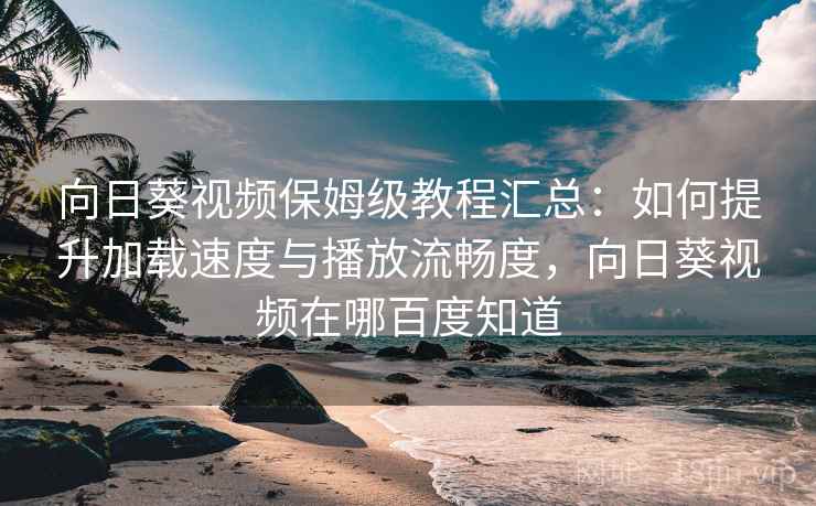 向日葵视频保姆级教程汇总：如何提升加载速度与播放流畅度，向日葵视频在哪百度知道