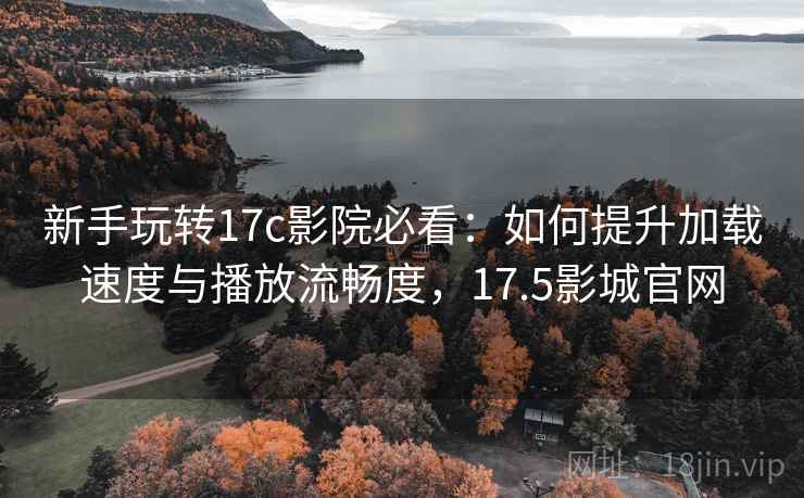 新手玩转17c影院必看：如何提升加载速度与播放流畅度，17.5影城官网