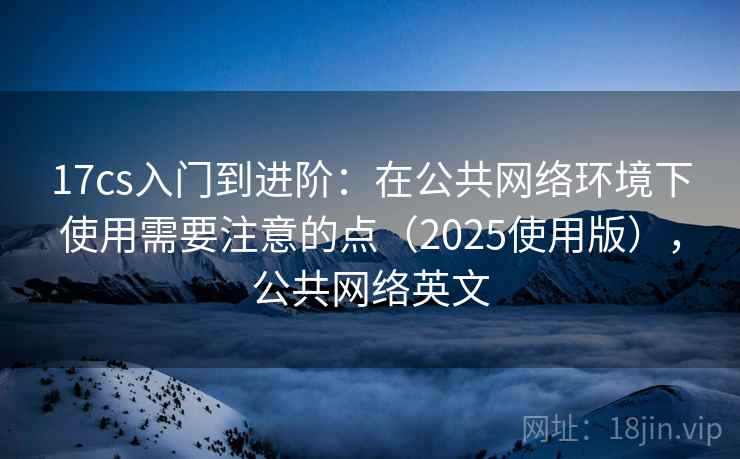 17cs入门到进阶:在公共网络环境下使用需要注意的点(2025使用版),公共网络英文 17cs入门到进阶:在公共网络环境下使用需要注意的点(2025使用版),公共网络英文