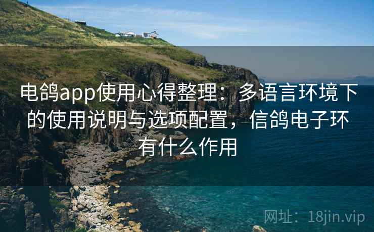 电鸽app使用心得整理：多语言环境下的使用说明与选项配置，信鸽电子环有什么作用