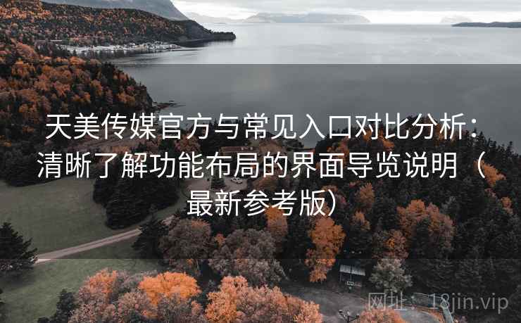 天美传媒官方与常见入口对比分析：清晰了解功能布局的界面导览说明（最新参考版）
