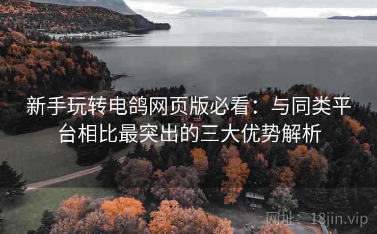 新手玩转电鸽网页版必看:与同类平台相比最突出的三大优势解析 新手玩转电鸽网页版必看:与同类平台相比最突出的三大优势解析