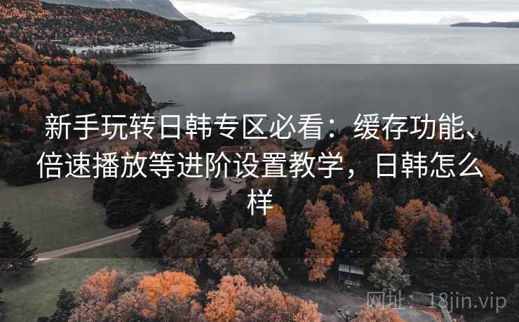 新手玩转日韩专区必看：缓存功能、倍速播放等进阶设置教学，日韩怎么样