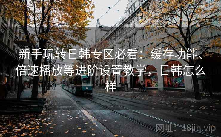 新手玩转日韩专区必看:缓存功能、倍速播放等进阶设置教学,日韩怎么样 新手玩转日韩专区必看:缓存功能、倍速播放等进阶设置教学,日韩怎么样
