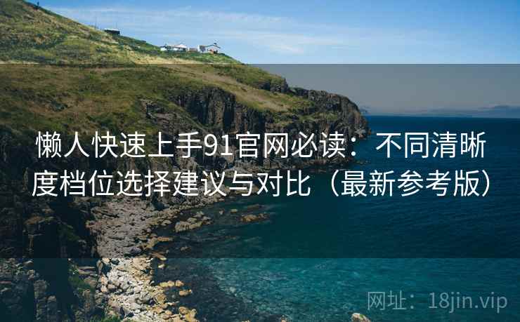 懒人快速上手91官网必读：不同清晰度档位选择建议与对比（最新参考版）