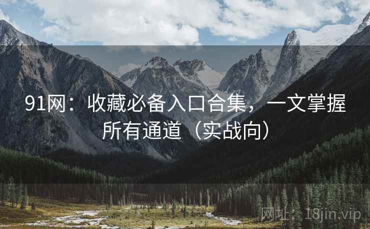 91网：收藏必备入口合集，一文掌握所有通道（实战向）