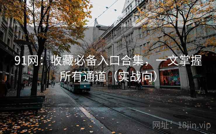 91网：收藏必备入口合集，一文掌握所有通道（实战向）