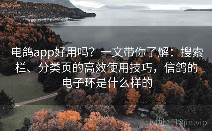 电鸽app好用吗？一文带你了解：搜索栏、分类页的高效使用技巧，信鸽的电子环是什么样的