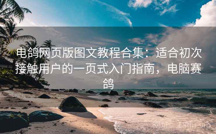 电鸽网页版图文教程合集：适合初次接触用户的一页式入门指南，电脑赛鸽
