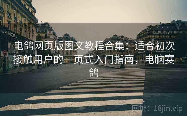电鸽网页版图文教程合集:适合初次接触用户的一页式入门指南,电脑赛鸽 电鸽网页版图文教程合集:适合初次接触用户的一页式入门指南,电脑赛鸽