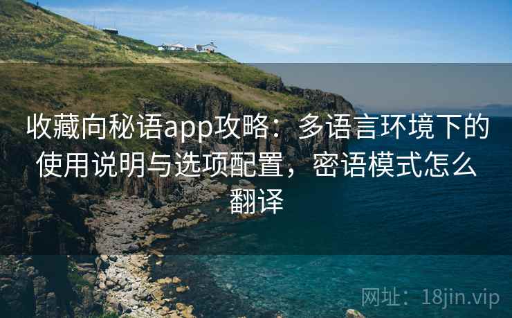 收藏向秘语app攻略：多语言环境下的使用说明与选项配置，密语模式怎么翻译