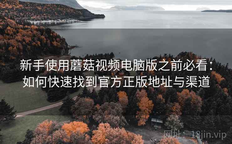 新手使用蘑菇视频电脑版之前必看：如何快速找到官方正版地址与渠道